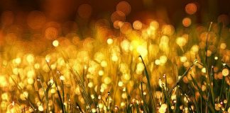 L’ABONDANCE (2ème partie)